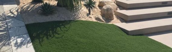 Artificial Turf and Property Value