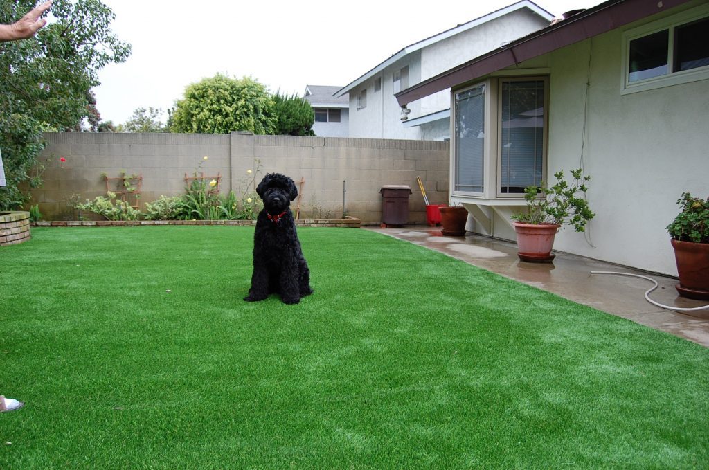 Synthetic Lawn Pet Turf San Diego, Top Rated Artificial Grass Installation for Dogs